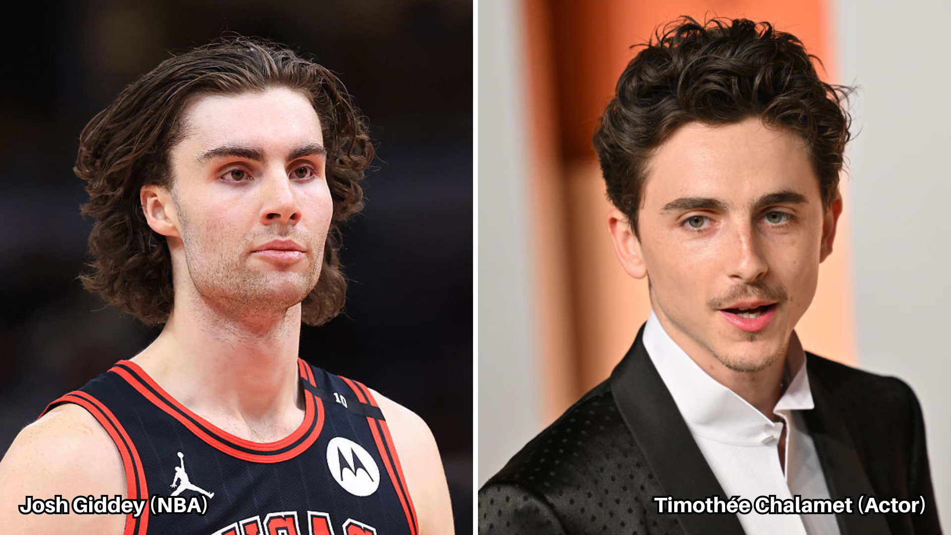 Josh Giddey (NBA) & Timothée Chalamet (Actor)
